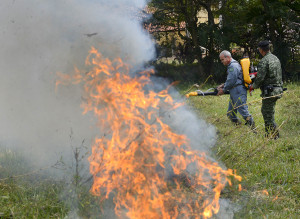  Na prática, participantes enfrentaram o calor para conter as chamas de um foco controlado